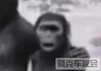 1.jpeg