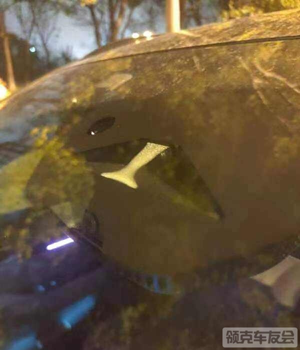 5.jpeg