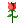 5.gif